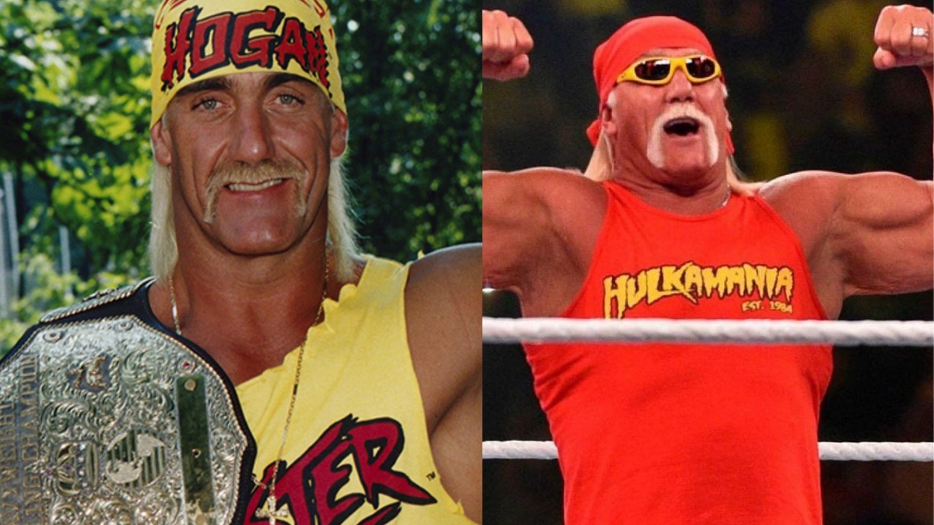 Biopic of WWE Hall of Famer Hulk Hogan might take a while
