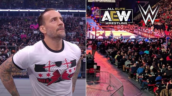WWE Veteran explains why fans chanting "F*ck CM Punk" in AEW made sense