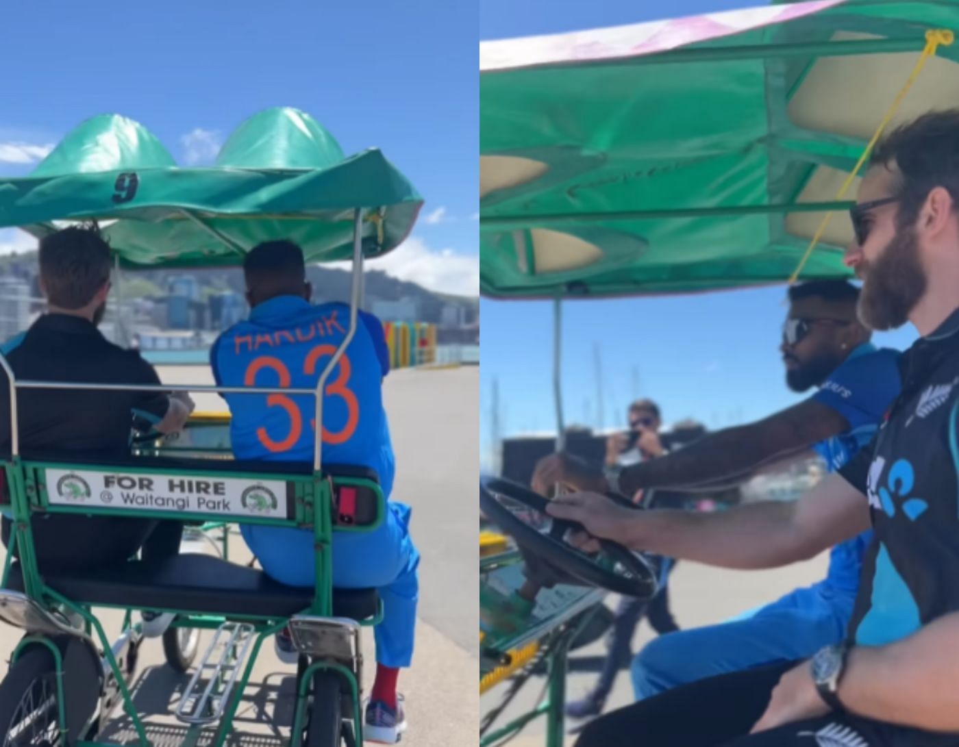 Hardik Pandya, Kane Williamson
