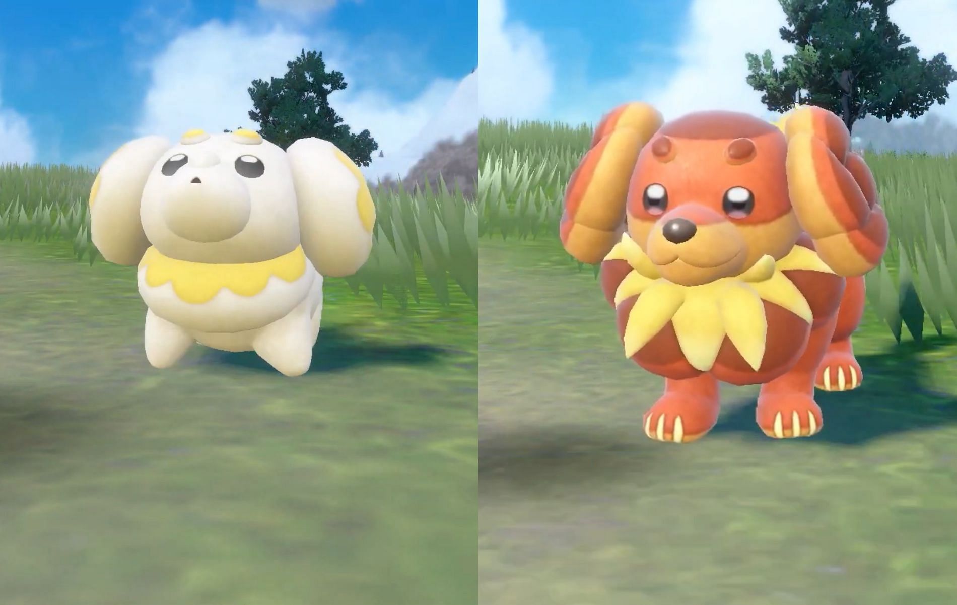 How can you evolve Fidough into a Dachsbun in Pokemon Scarlet and Violet (Images via Pokemon Violet and Scarlet)