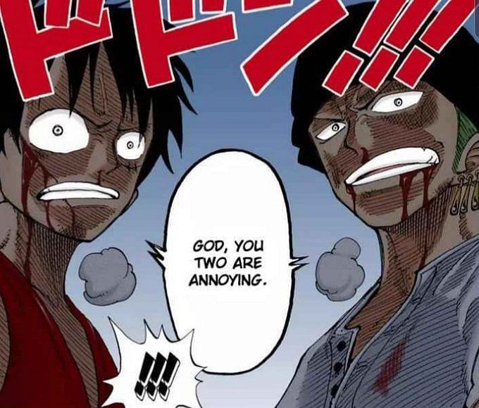 Luffy dan Zoro One Piece