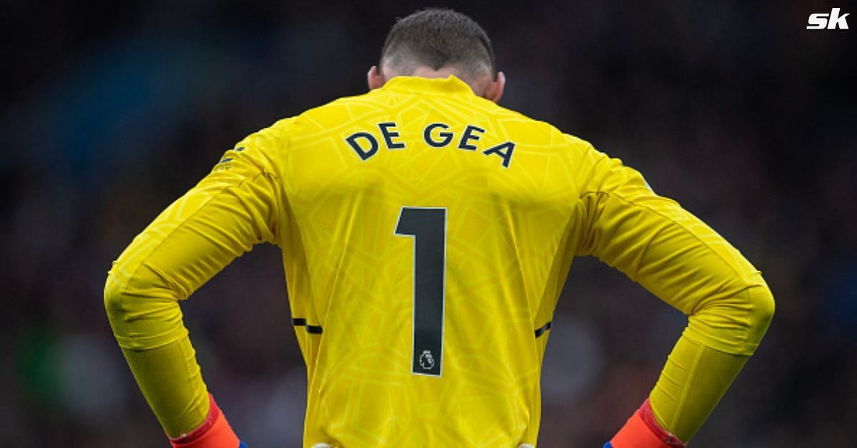 Manchester United identify Premier League goalkeeper to replace David de Gea