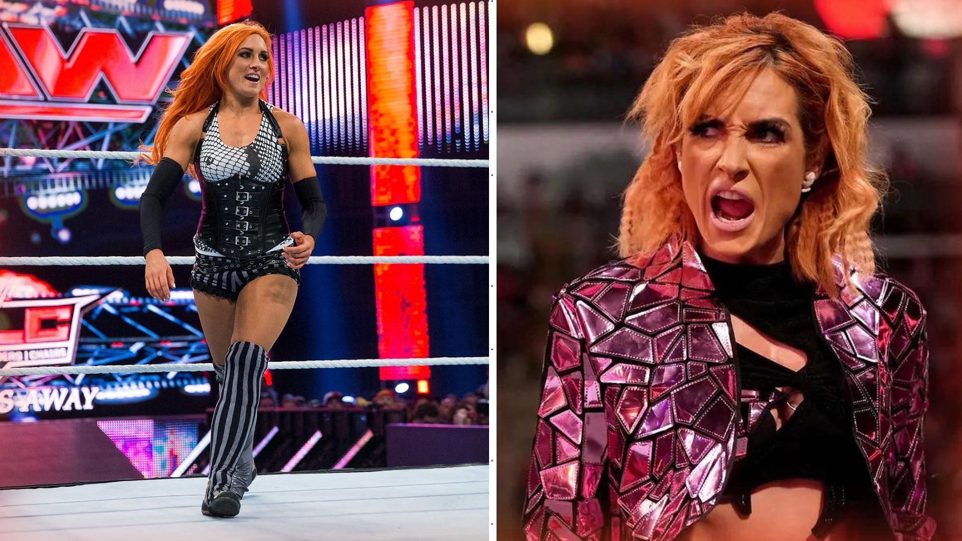 Becky Lynch has climbed the ladder of success with hard work