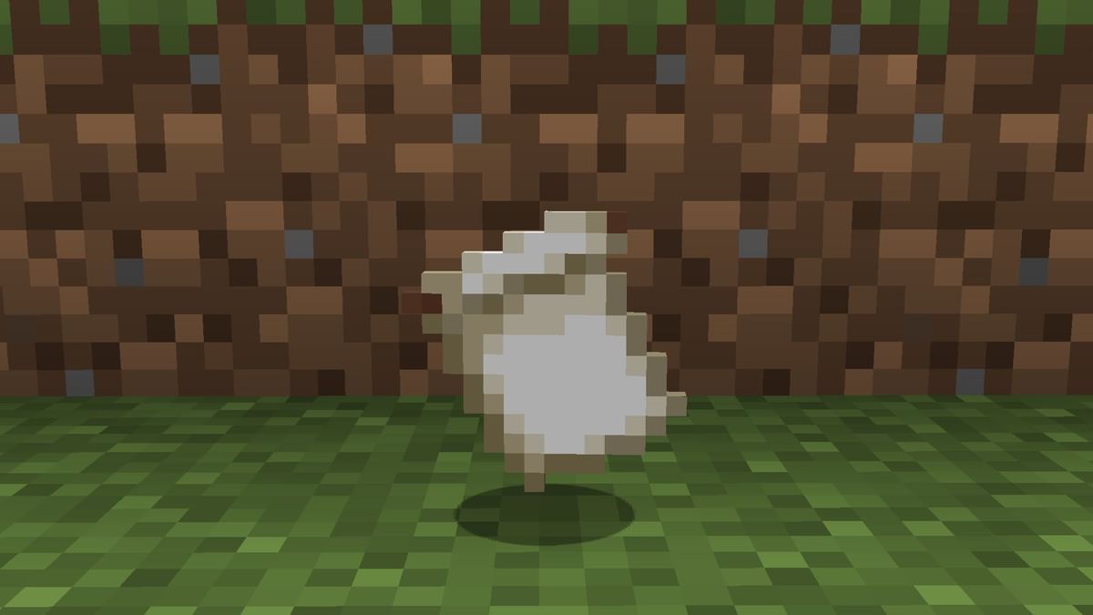 Top 5 rarest items in Minecraft survival (2022)