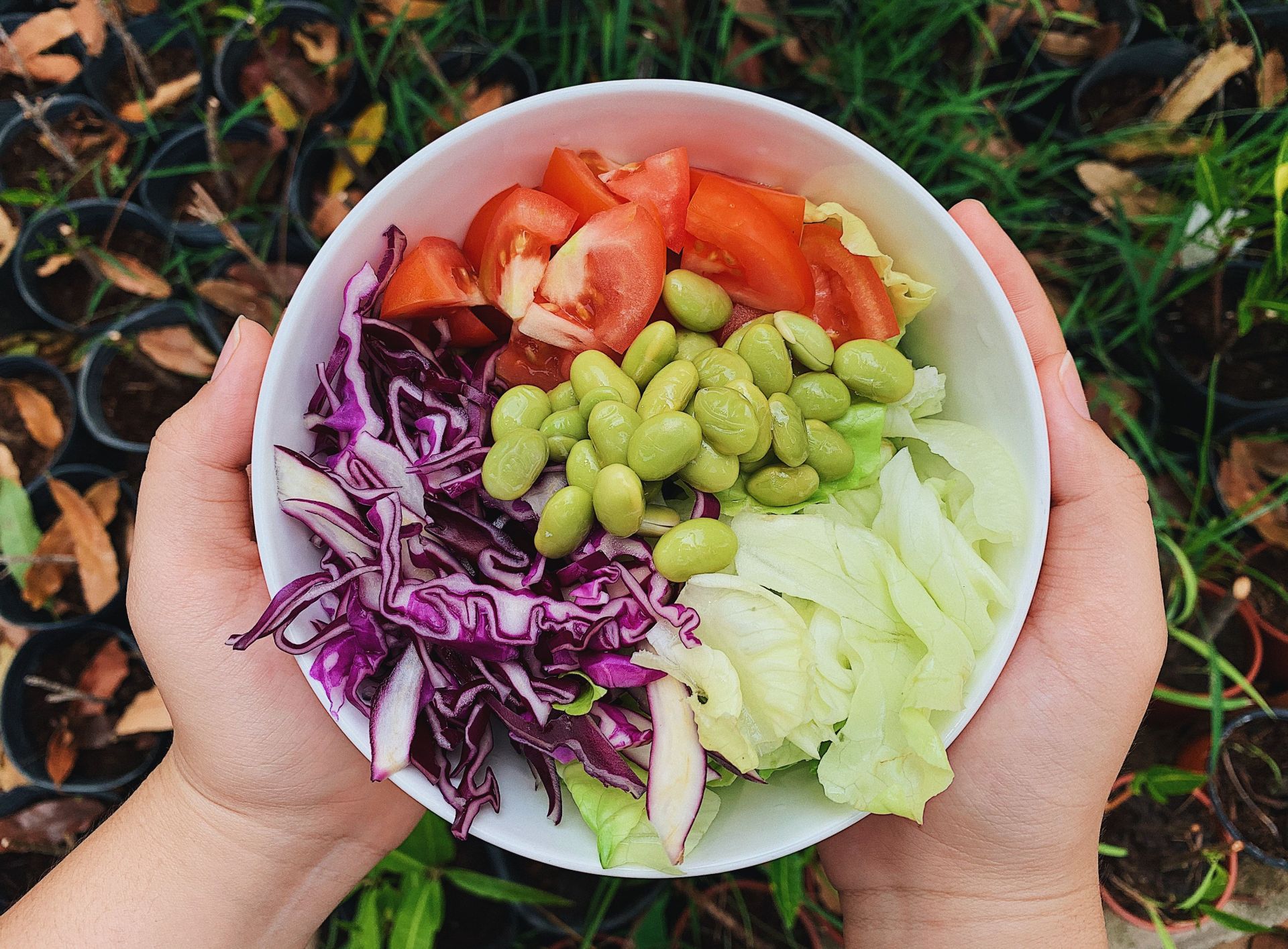 A healthy combination of veggies. (Image via Pexels/Vo Thuy Tien) (Image via Pexels/Malidate Van) nter caption Enter caption Enter caption Enter caption