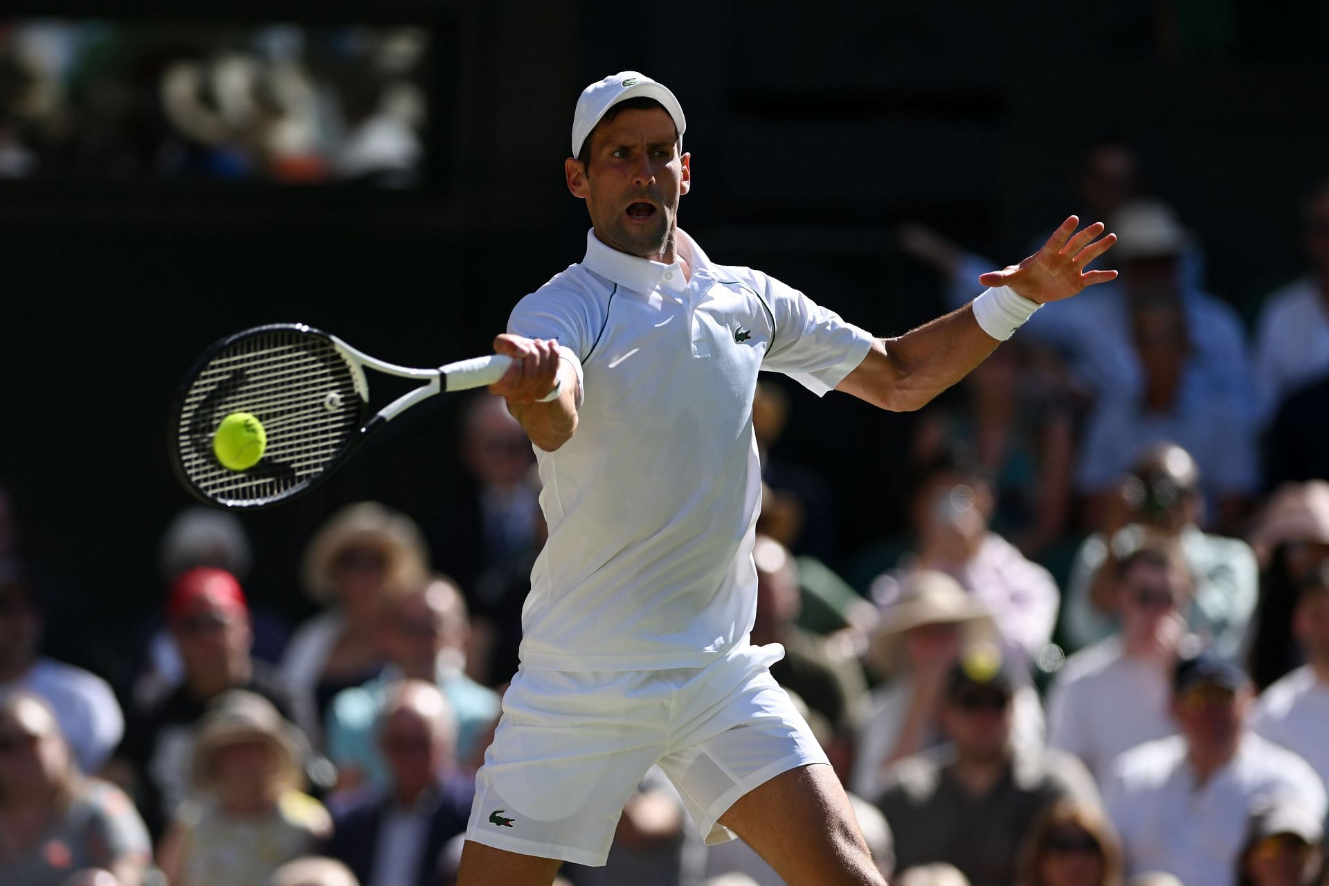 Novak Djokovic won the 2022 Wimbledon