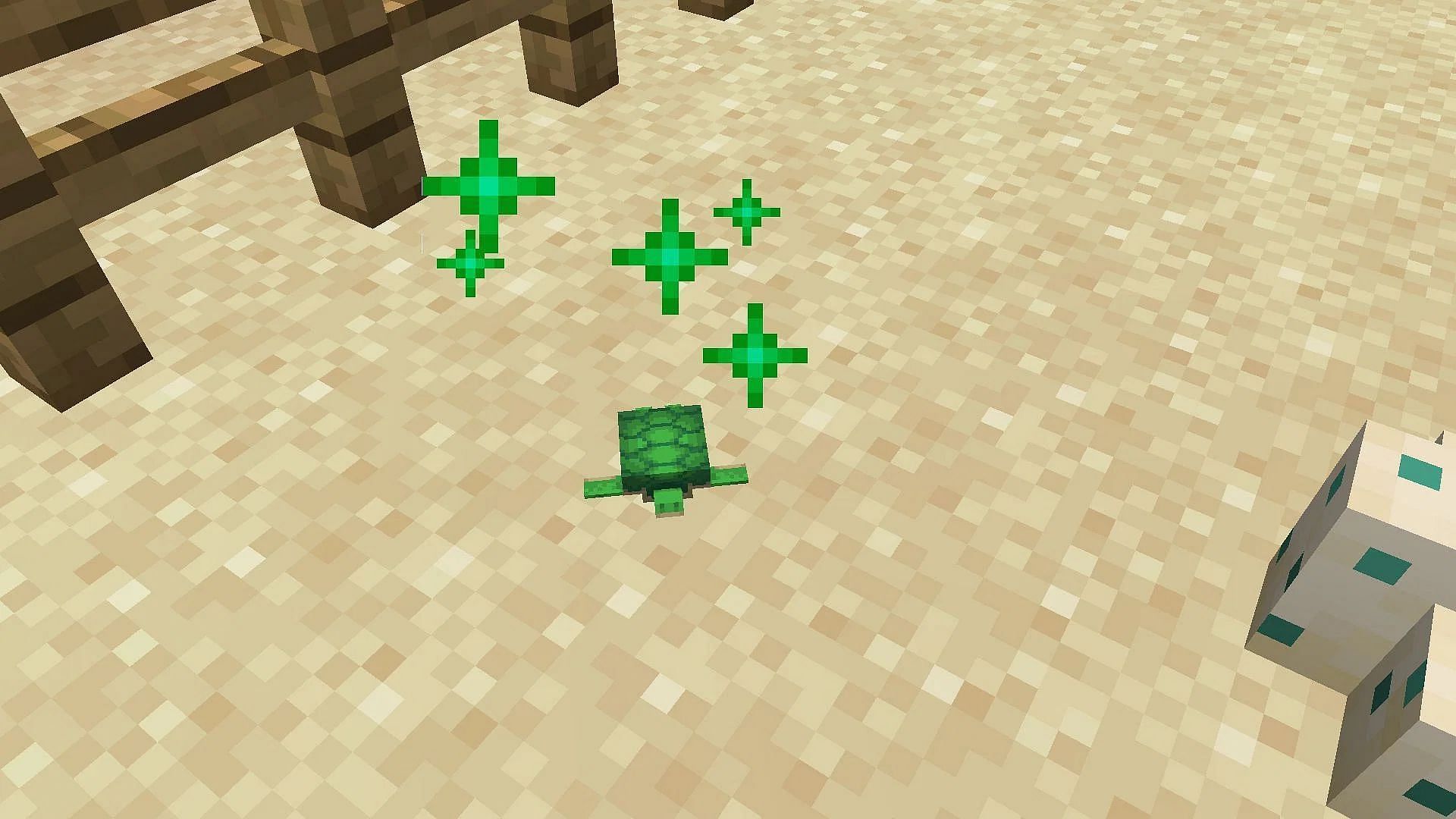 Baby turtles are the smallest entity in Minecraft 1.19 (Image via Mojang)