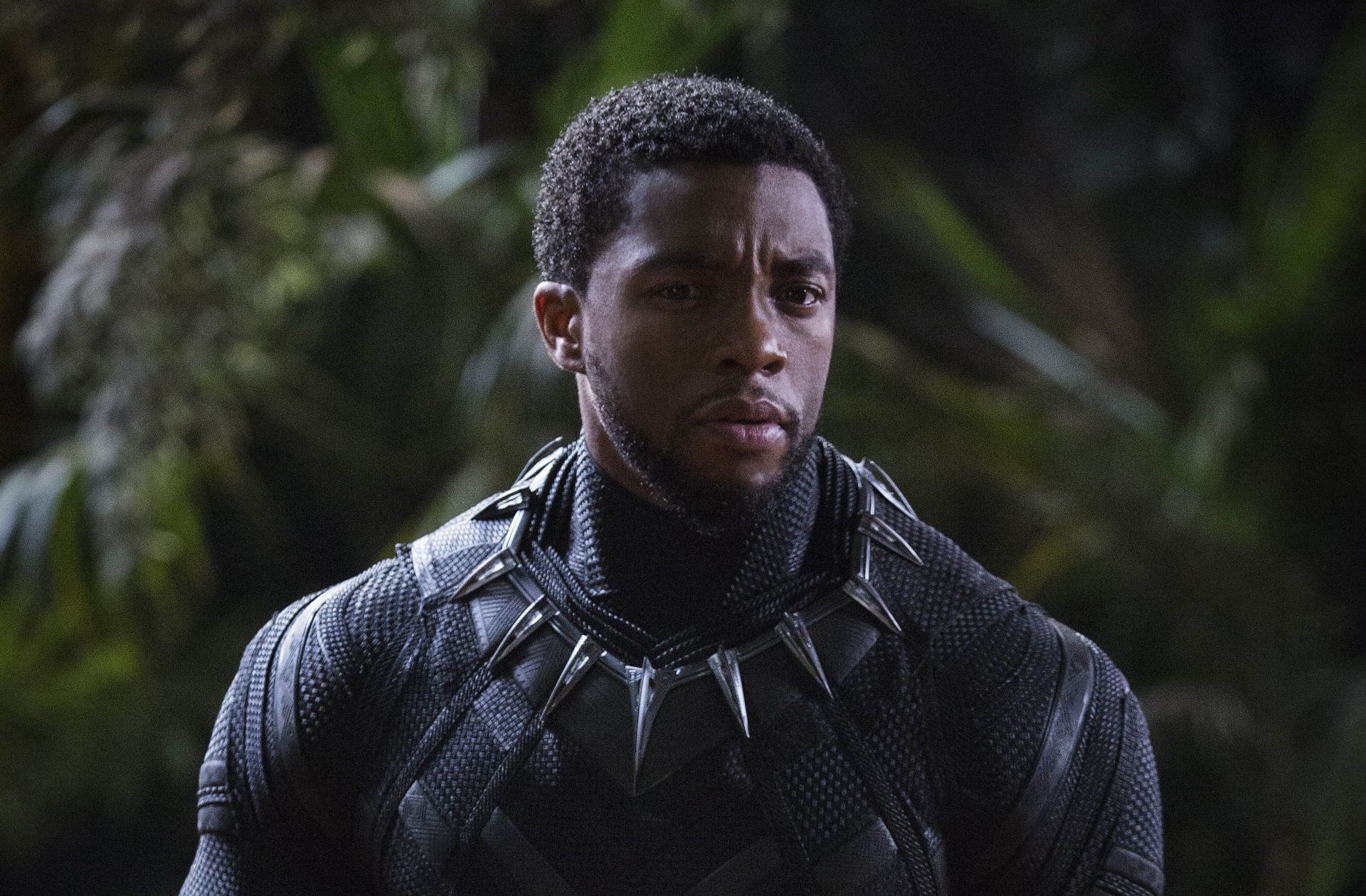Chadwick Boseman in 2018&#039;s Black Panther (Image via Marvel)