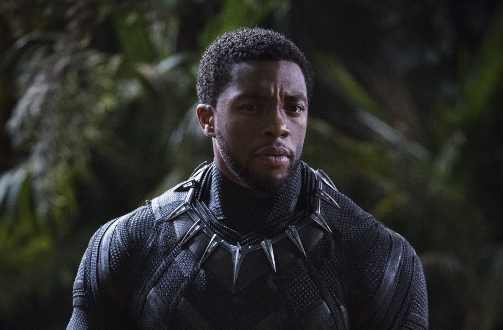 How does Black Panther die in the MCU? T'Challa's exit explained