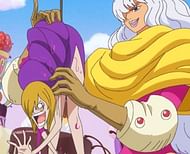 Shibo Shibo no Mi in One Piece