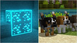 How to use resource packs in Minecraft (2022)