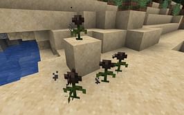 How to get wither rose in Minecraft 1.19