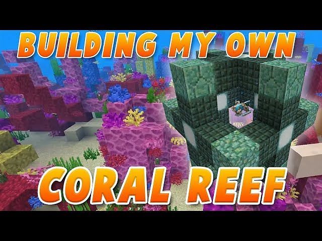 How to keep coral blocks alive in Minecraft