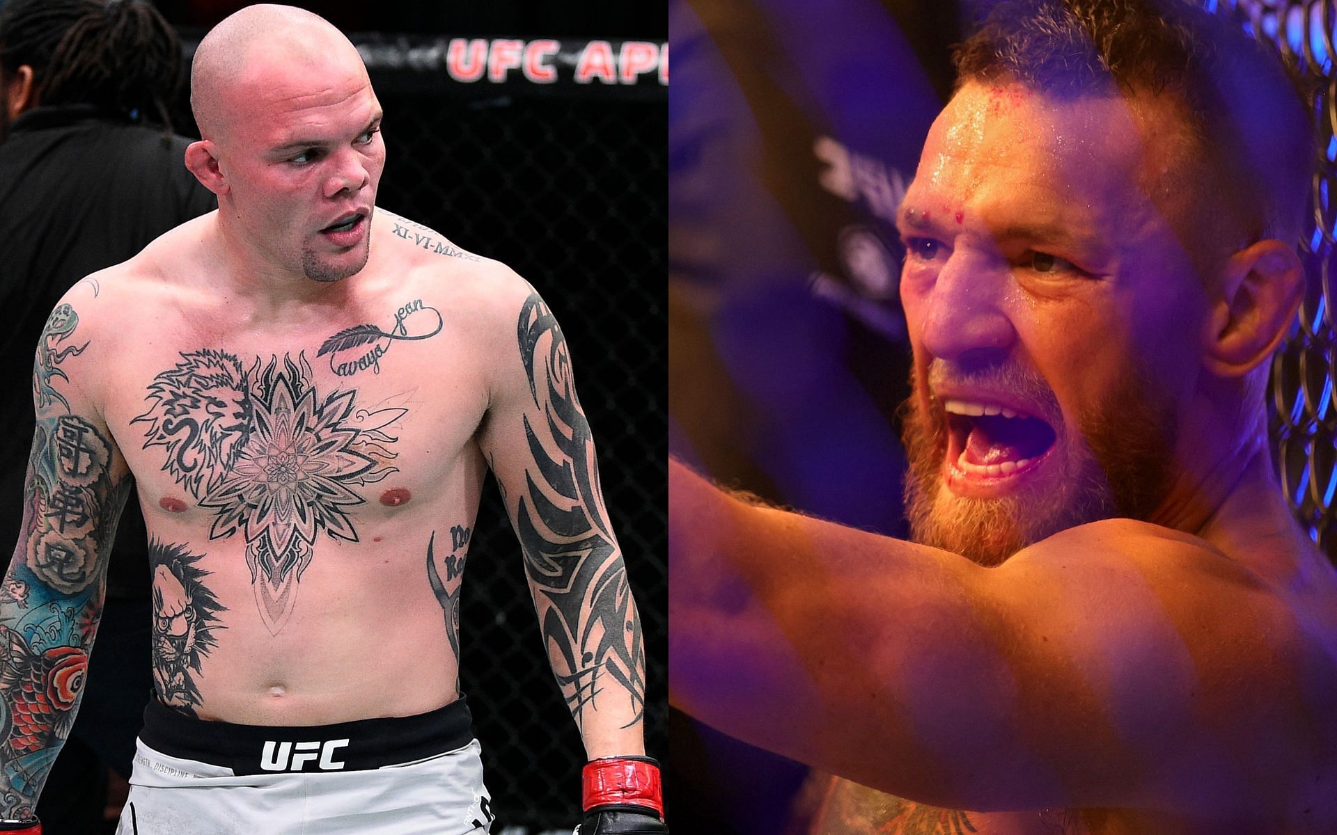 Anthony Smith (left), Conor McGregor (right)