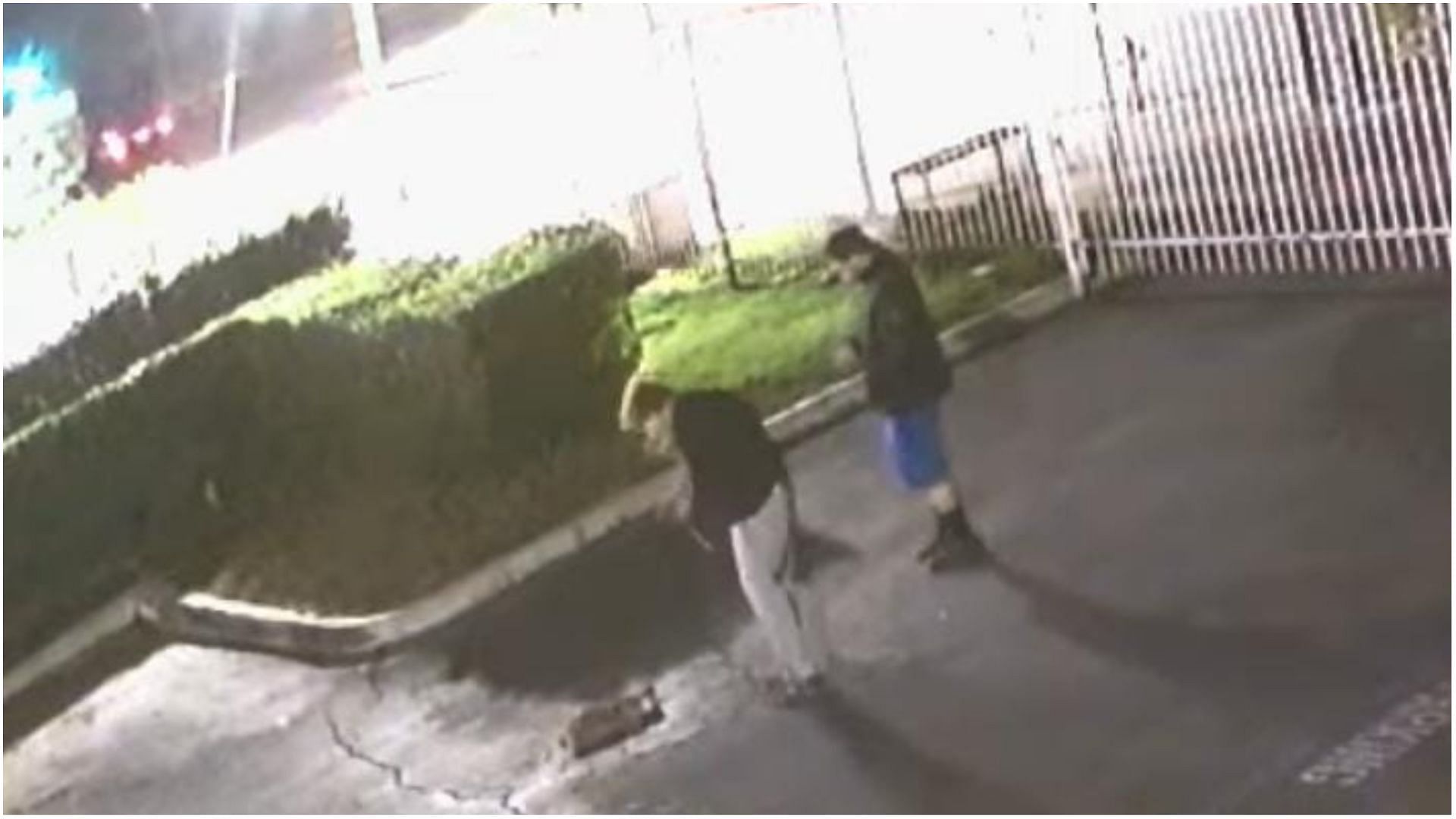 Pomona police are in search of two men who were caught killing and then mutilating the body of a cat (Screenshot from surveillance video released by the Pomona Police Department)