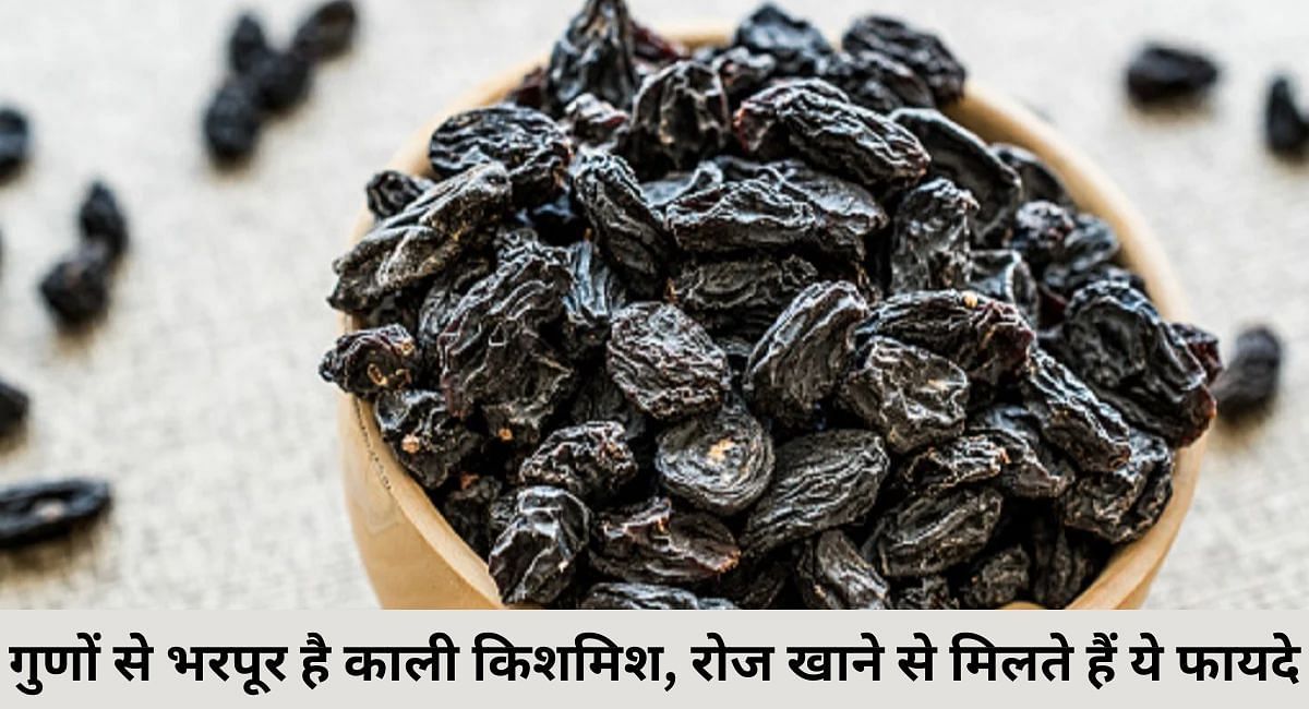 गुणों से भरपूर है काली किशमिश, रोज खाने से मिलते हैं ये फायदे(फोटो-Sportskeeda hindi)