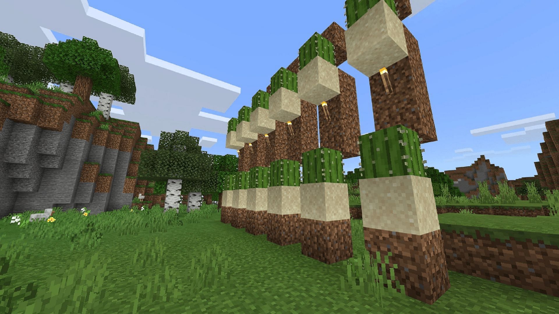 A standard cactus farm without an automated collection component (Image via Minecraft Wiki)