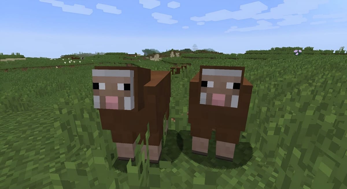 What are the rarest sheep colors in Minecraft?