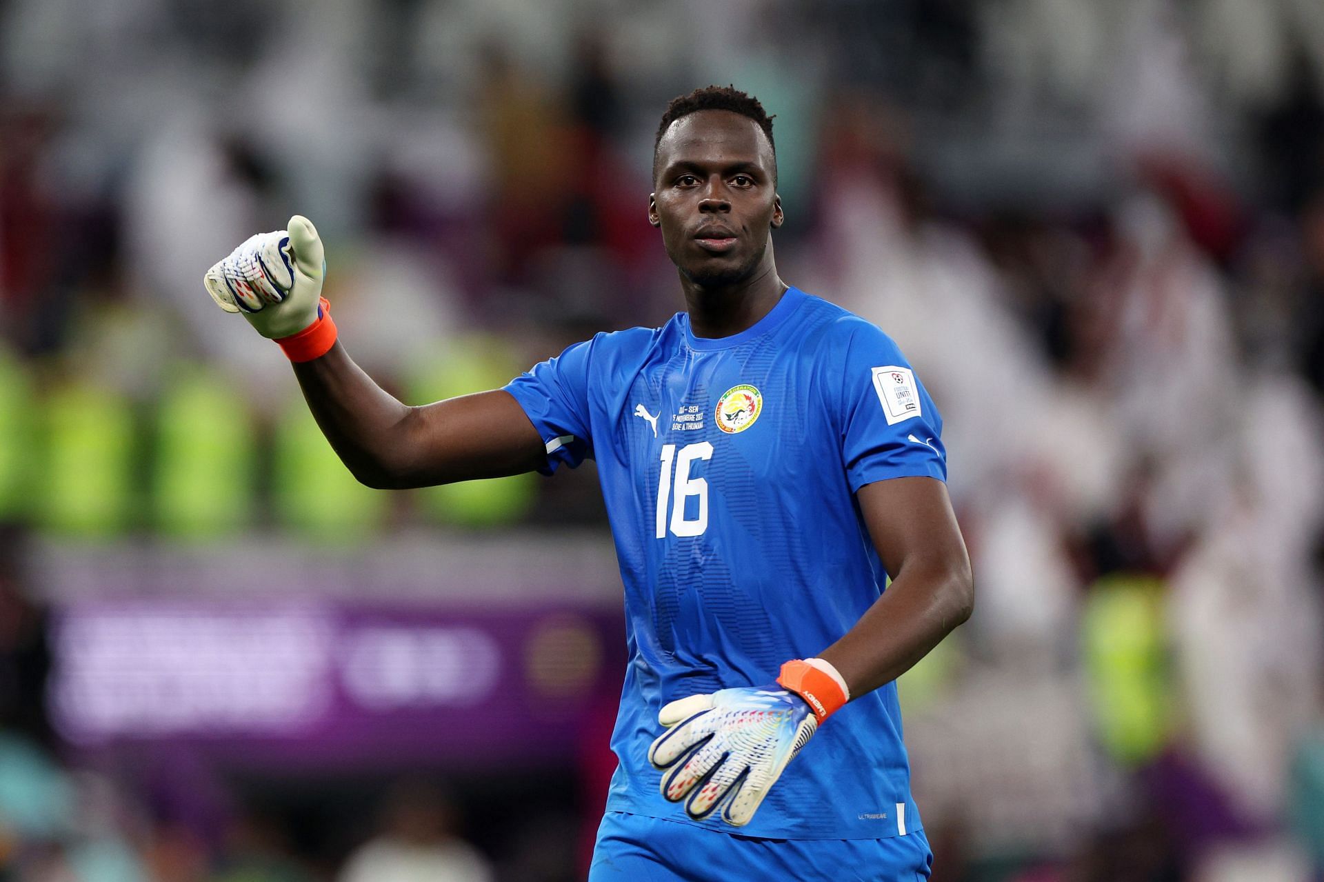 Edouard Mendy put up a strong display against Qatar.