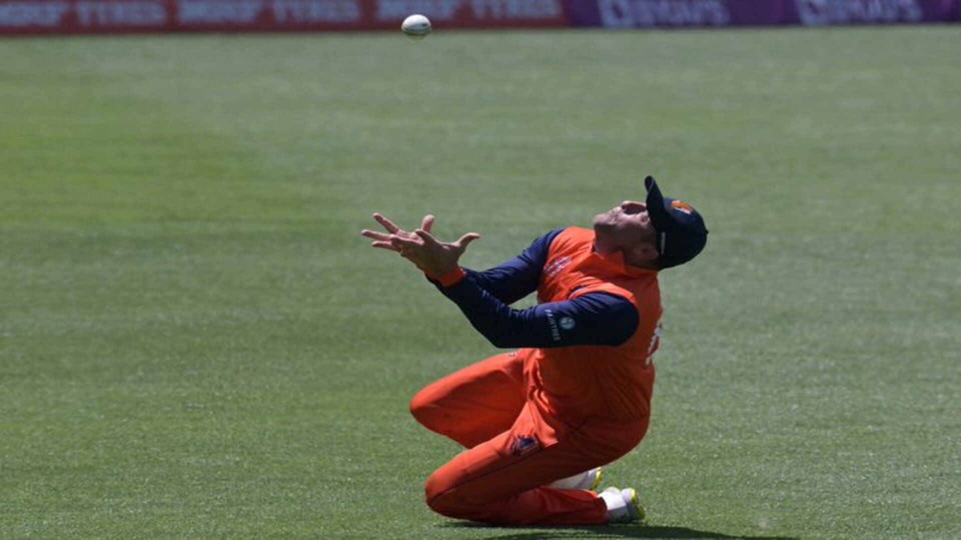 Colin Ackermann, Roelof van der Merwe return for Netherlands' T20