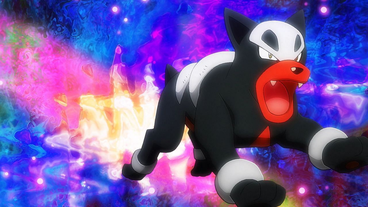 Houndour as it appears in the anime (Image via The Pokemon Company)