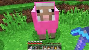 What are the rarest sheep colors in Minecraft?