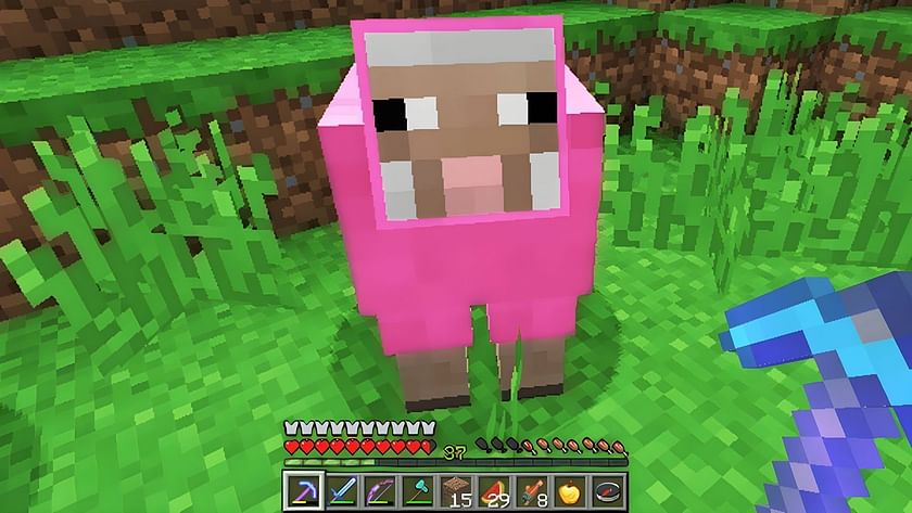 What is the Minecraft Crazy Sheep Game?