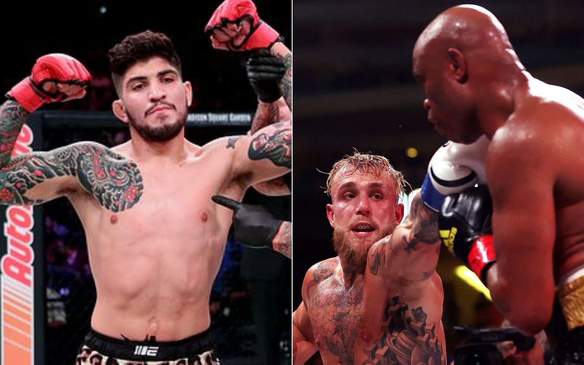 (L) Dillon Danis {Photo credit: Bellator MMA}, and Paul v Silva (R)