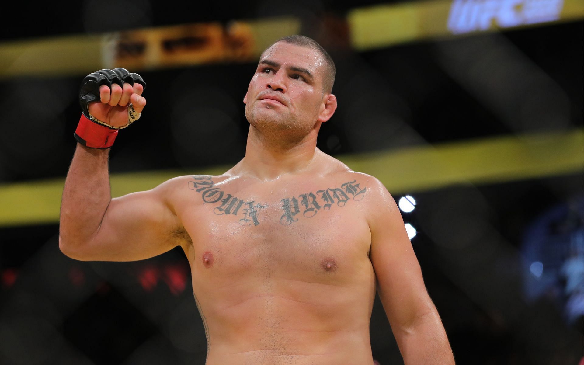 Cain Velasquez after his win at UFC 200