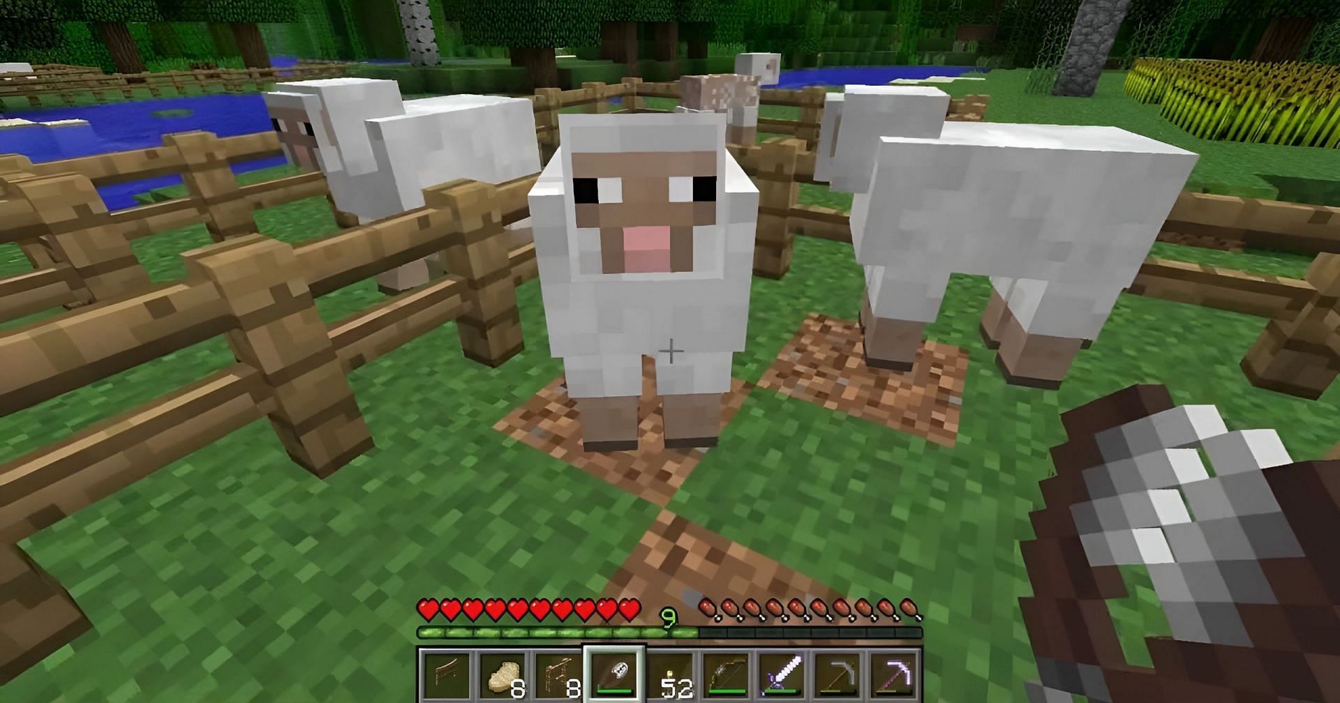 White sheep are the most common variants of the mob in the game (Image via YouTube/mungosgameroom)