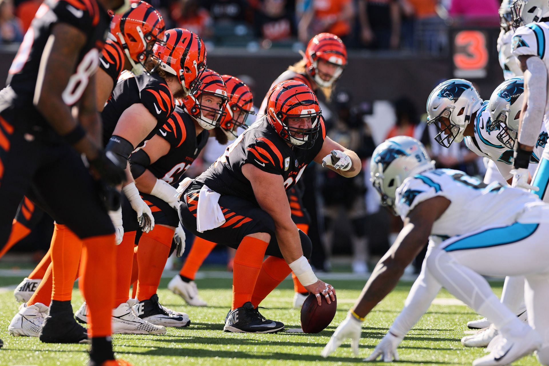 Carolina Panthers v Cincinnati Bengals