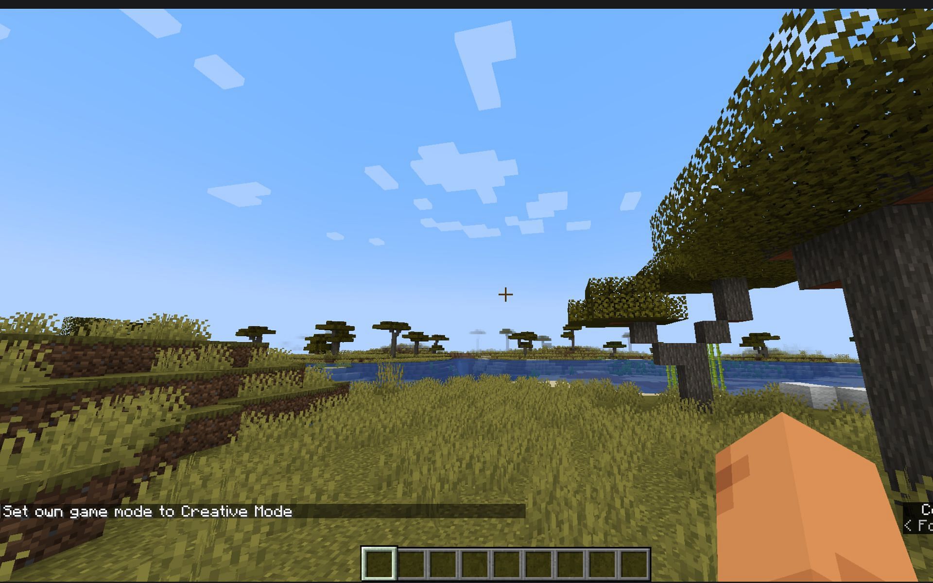 Screenshot of a simple and engaging minecraft gameplay