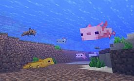 How to get rarest axolotl in Minecraft 1.19