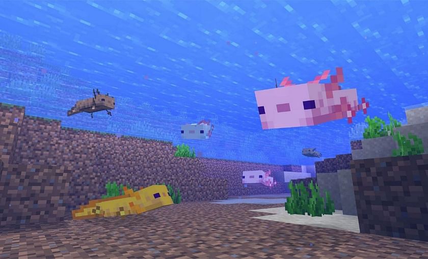 2023 blue axolotl minecraft pocket edition command｜TikTok Search