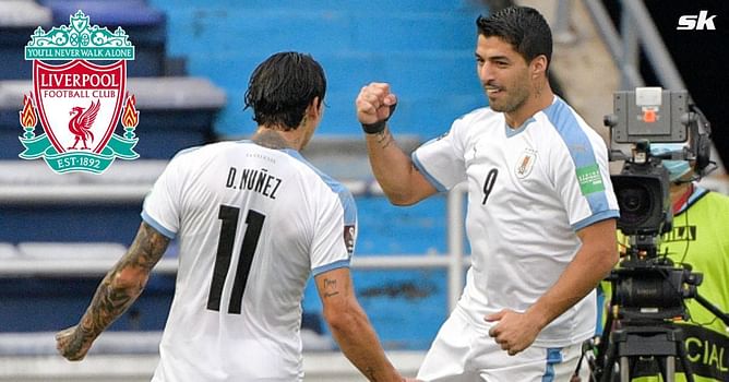 "I speak to him regularly" - Luis Suarez makes Darwin Nunez prediction for Liverpool after mentoring him