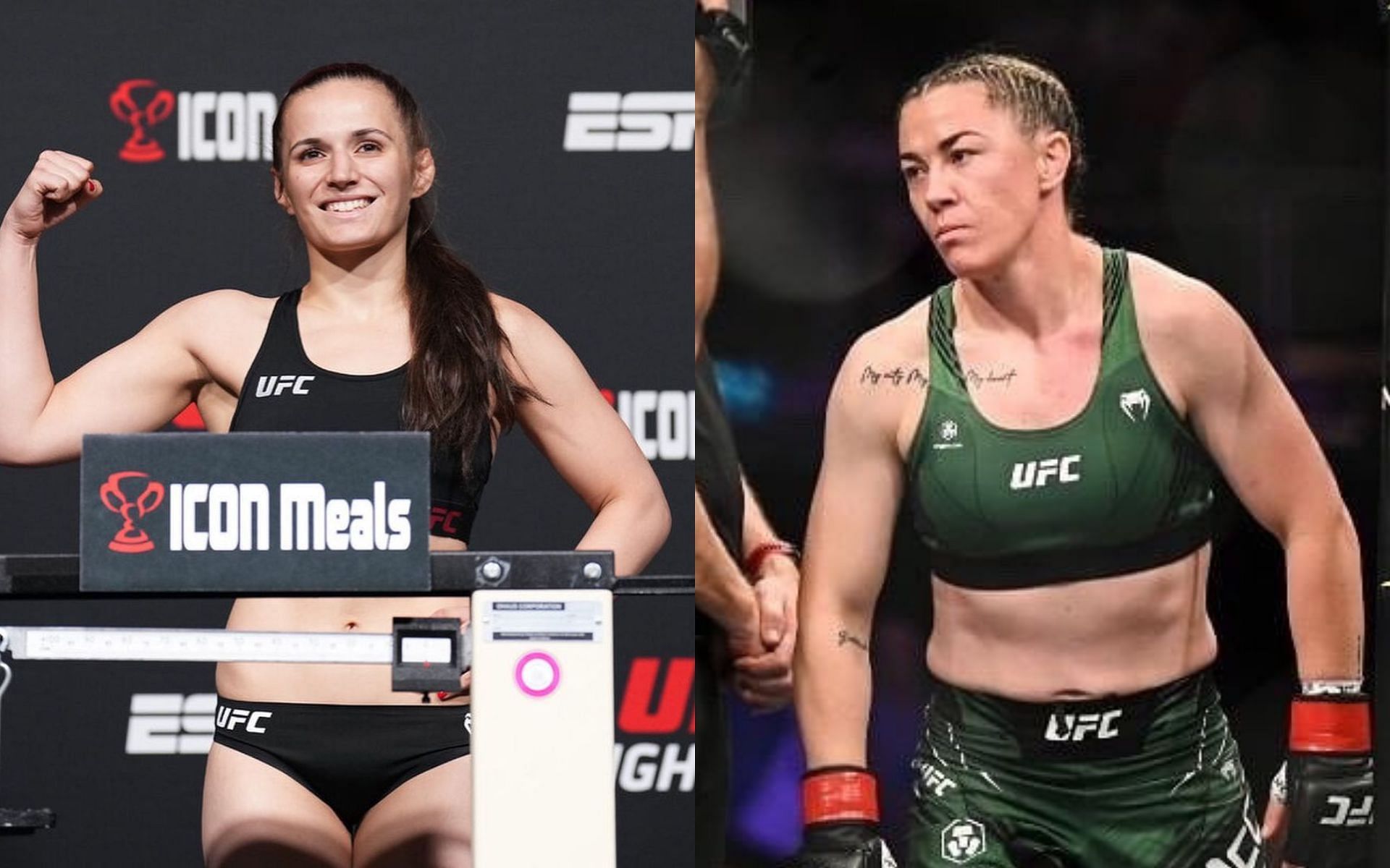 Molly McCann vs. Erin Blanchfield: Height, weight, reach and record ...