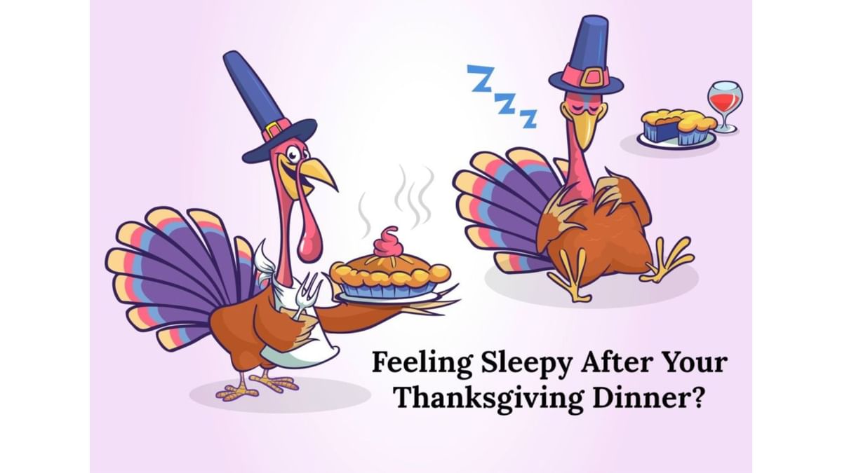 Fact Check Does Turkey make you sleepy? Tryptophan claim explored as
