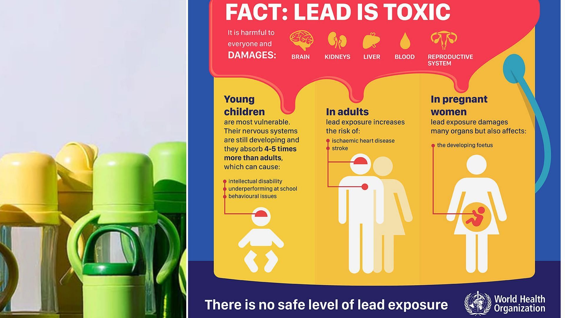 lead is toxic Infographic (Image via World Health Organization)