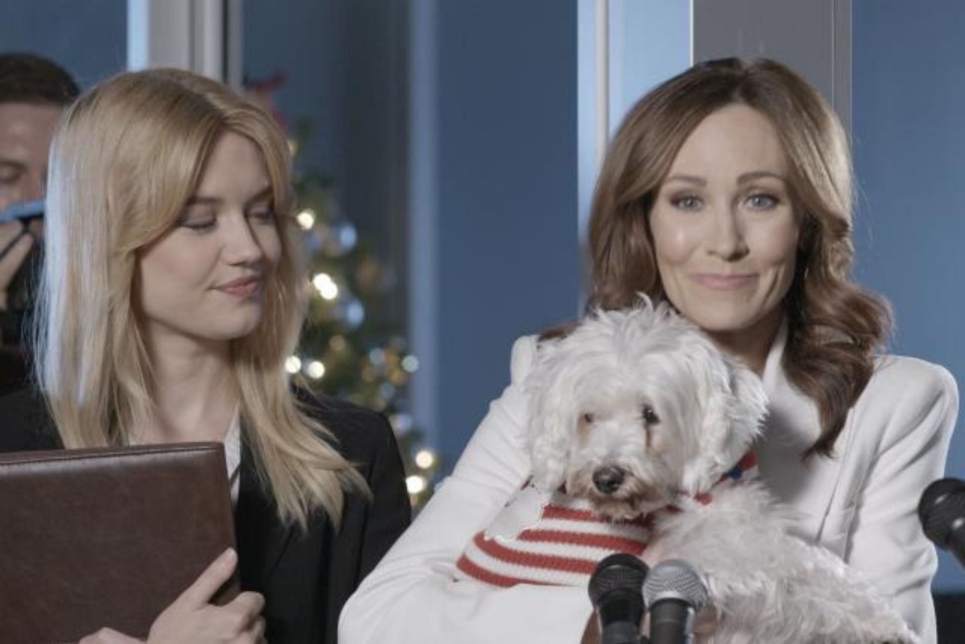 Dognapped: Hound for the Holidays (Image via ION Television)