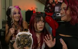 Popular 4-Time champion joins Damage CTRL's team for upcoming WarGames match