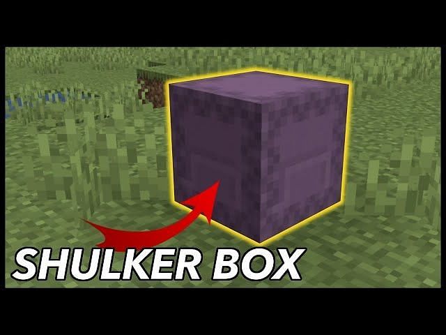 How to get and use shulker shells in Minecraft