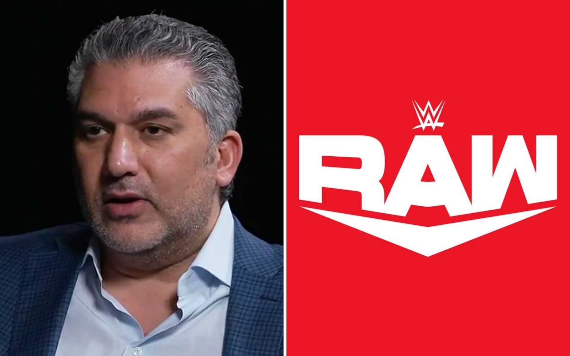 The co-CEO of WWE recently spoke in the Quarterly Earnings Call