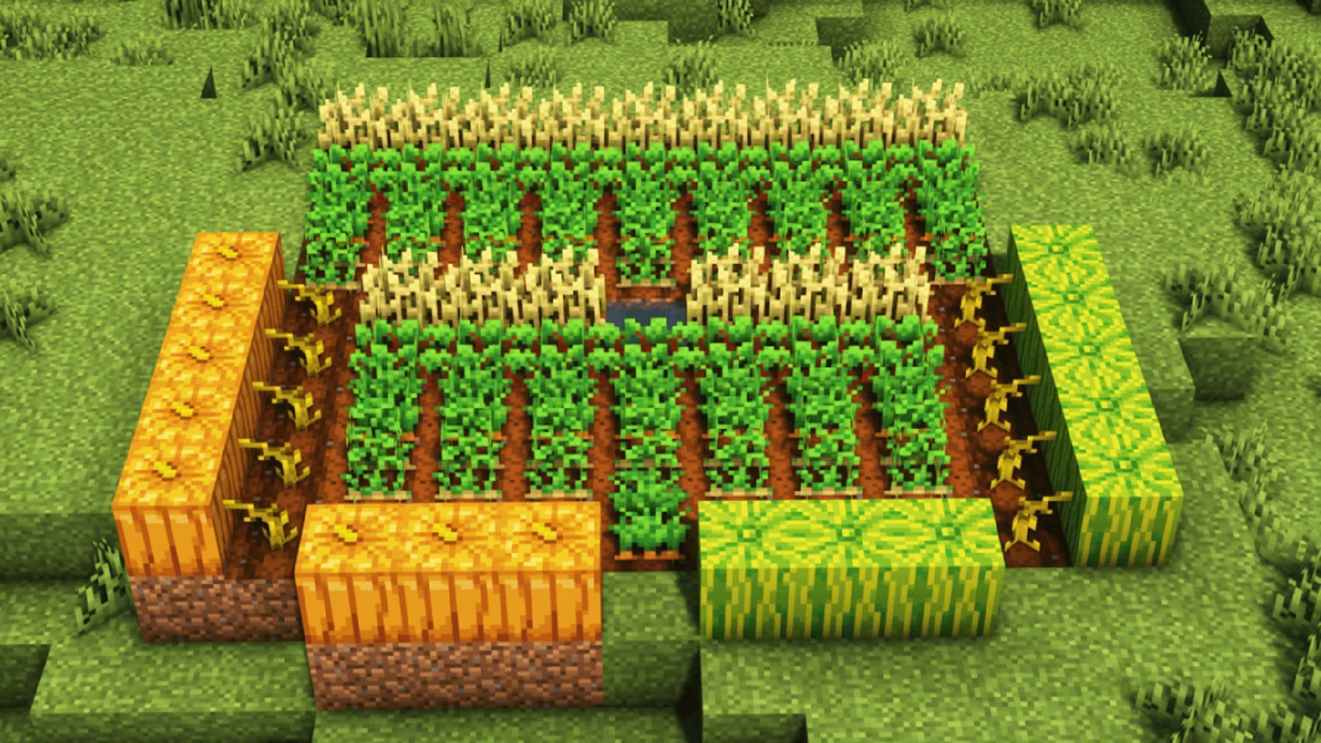 Showcase of Minecraft crops: including pumpkins, watermelons, wheat, potatoes and carrots 