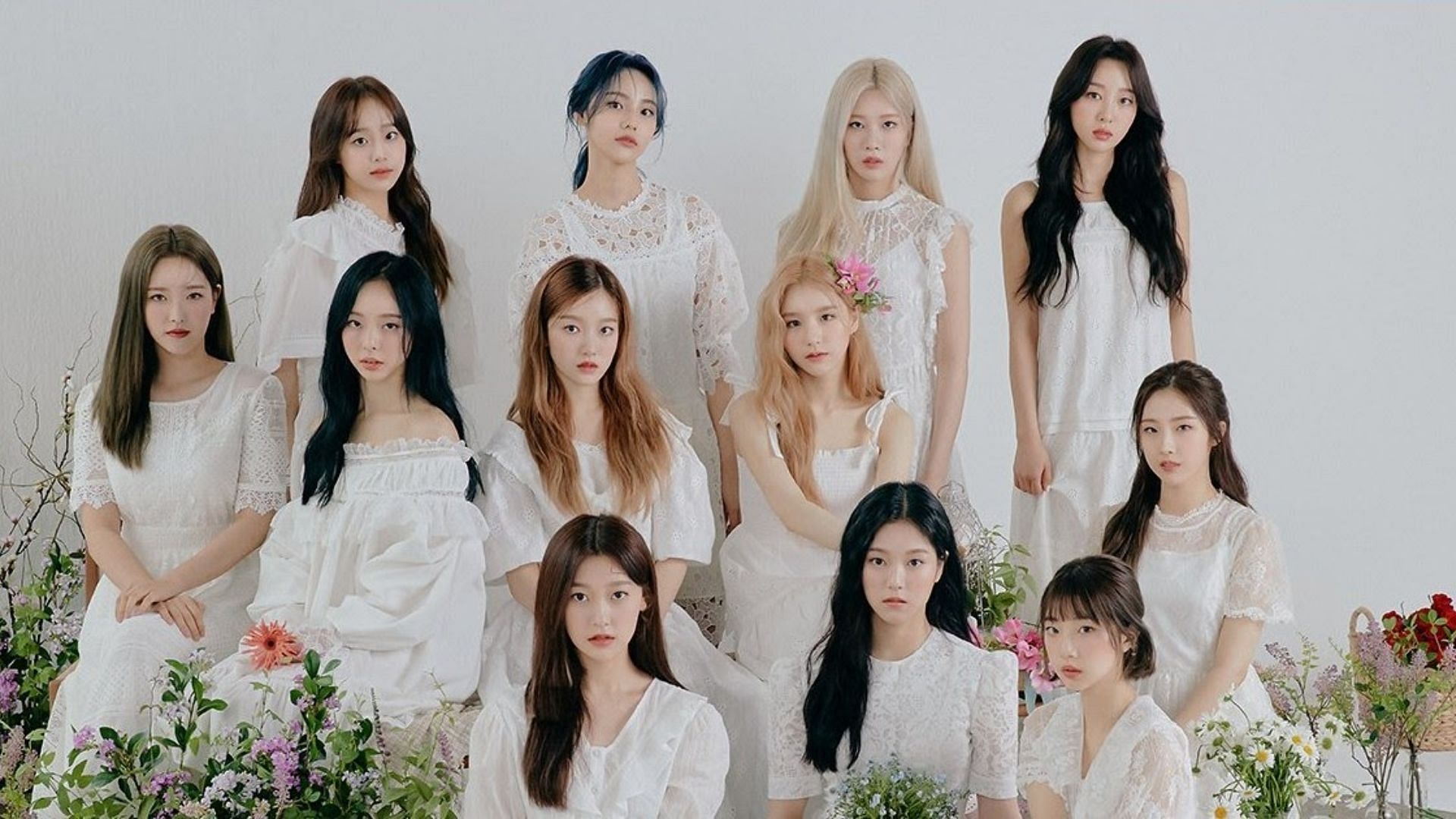 Now free Hyunjin and Vivi!": Fans as nine LOONA members reportedly a lawsuit to suspend their exclusive contracts with BlockBerry Creative