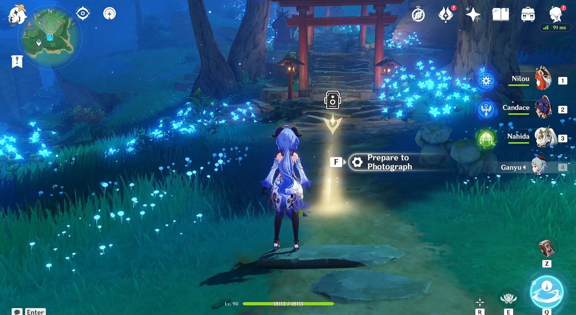 A Kamera icon can be seen in front of the gate (Image via Hoyoverse)