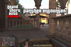 GTA Online player finds uncaged panther roaming about in Cayo Perico