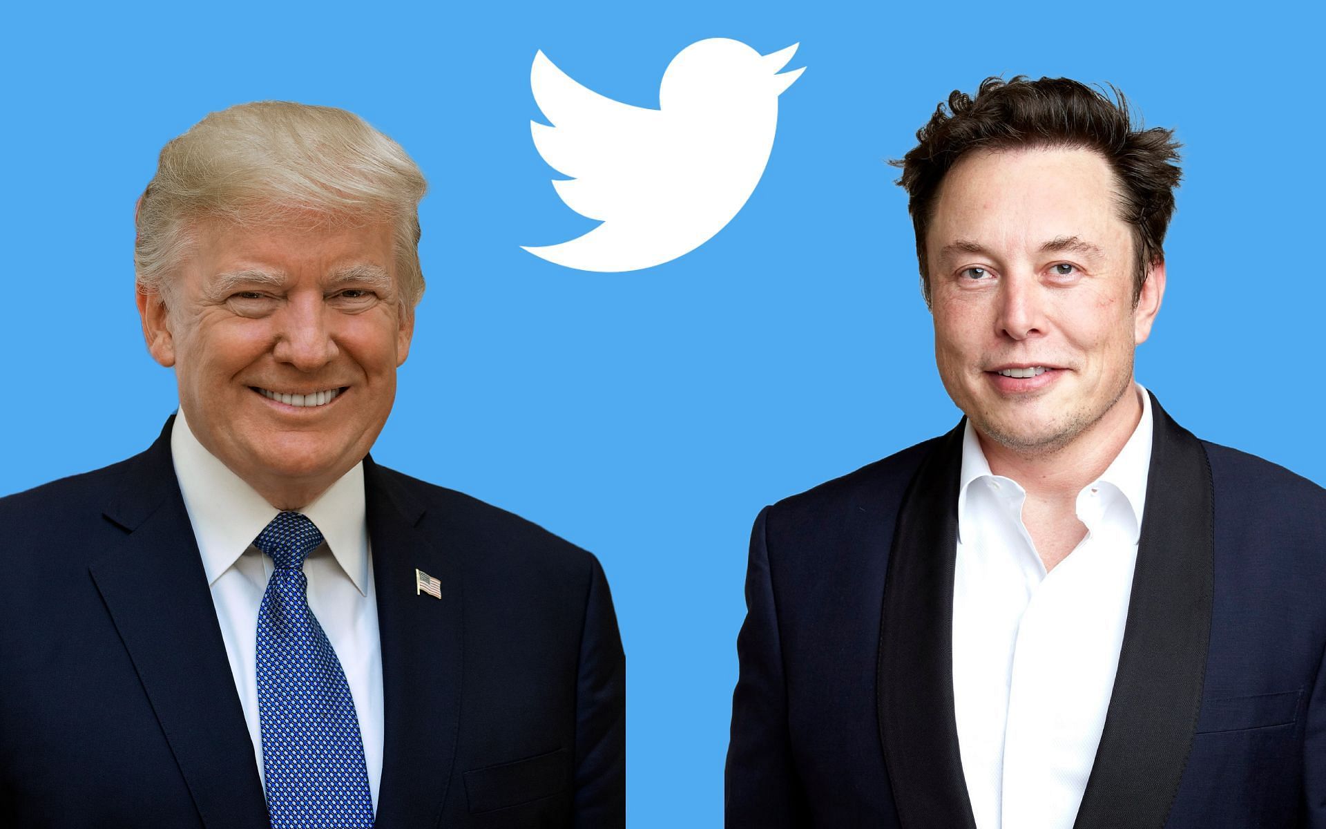 Elon Musk unbanned Donald Trump from Twitter on November 20, 2022 (Image via Sportskeeda)