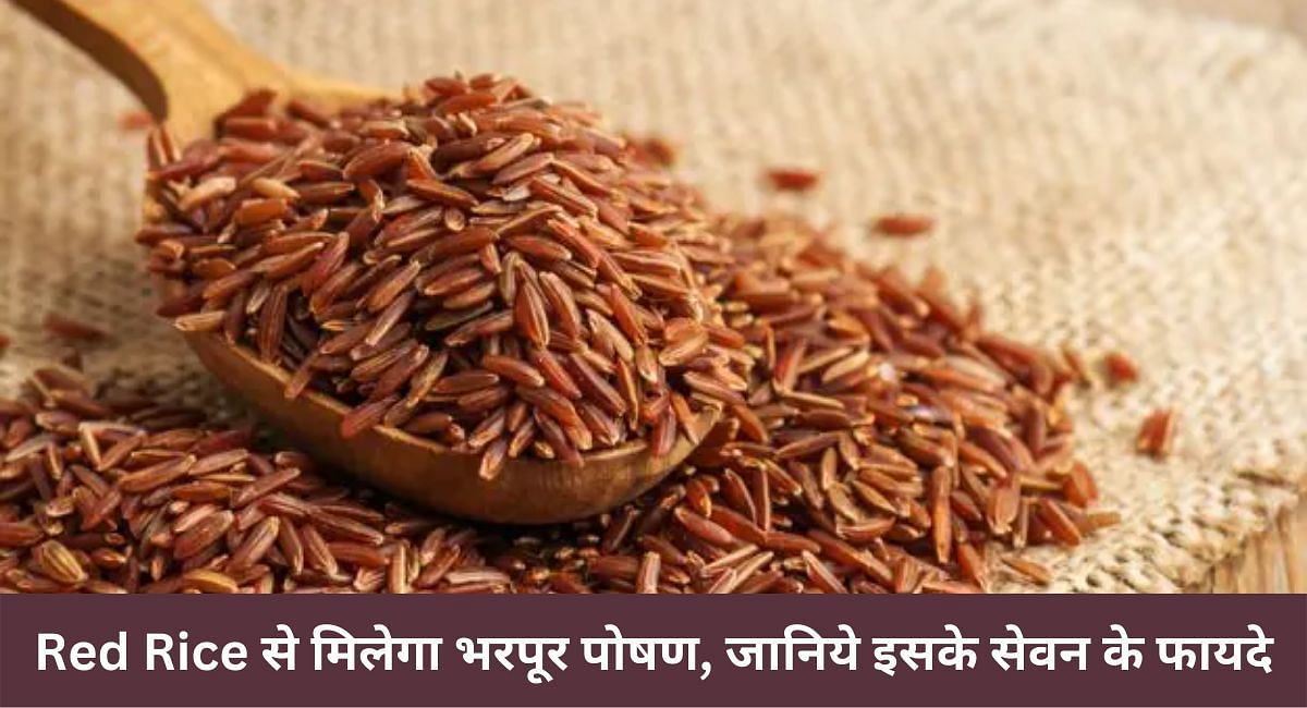 Red Rice से मिलेगा भरपूर पोषण, जानिये इसके सेवन के फायदे