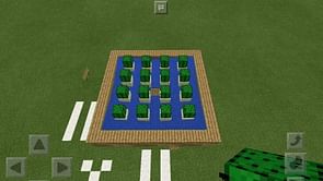 How to make automatic cactus farm in Minecraft 1.19