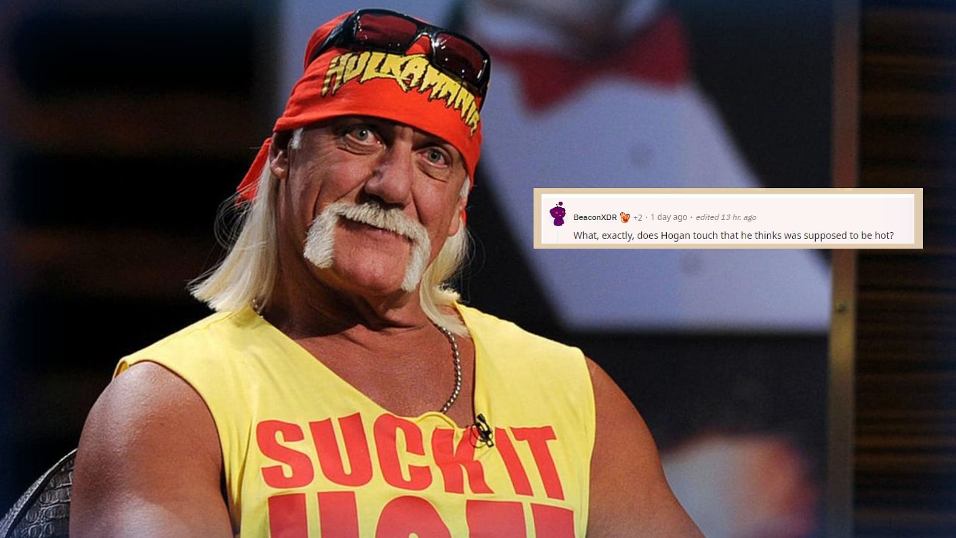 Hulk Hogan was often involved in several controversial angles